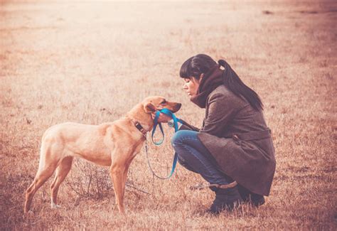 人犬一點通|[普好無雷] 人犬:最強寵物溝通師